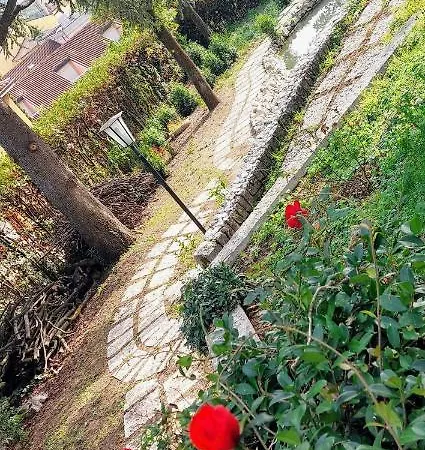 Giardino Del Lago Adiacente Ospedale